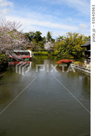 京都　二条城近くの神泉苑 93640963