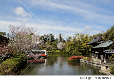 京都　二条城近くの神泉苑 93640964
