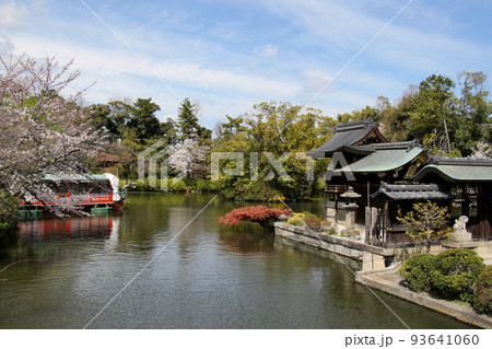 京都 二条城近くの神泉苑 京都 二条城近くの神泉苑 93641060