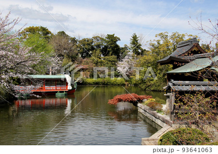 京都　二条城近くの神泉苑 93641063