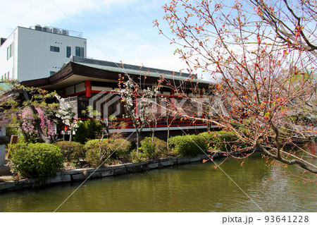 京都　二条城近くの神泉苑 93641228