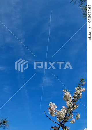 京都　二条城近くの神泉苑　コントレール　飛行機雲 93641361