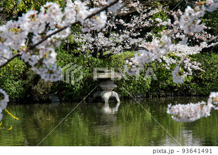 京都 二条城近くの神泉苑 灯籠 京都 二条城近くの神泉苑 灯籠 93641491