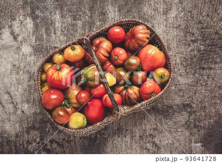 Autumn harvest - organic multicolored untreated tomatoes in a basket on a dark table, top view 93641728
