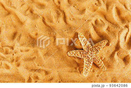 Background of isolated starfish on the golden beach Background of isolated starfish on the golden beach 93642086