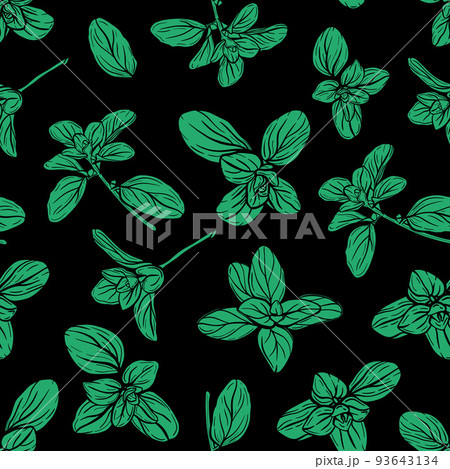 Basil Pattern. Italian herbs.A sprig of marjoram Basil Pattern. Italian herbs.A sprig of marjoram 93643134
