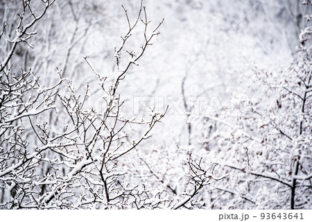 Under the snow 93643641