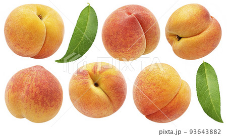 Apricot isolated on white background with clipping path Apricot isolated on white background with clipping path 93643882