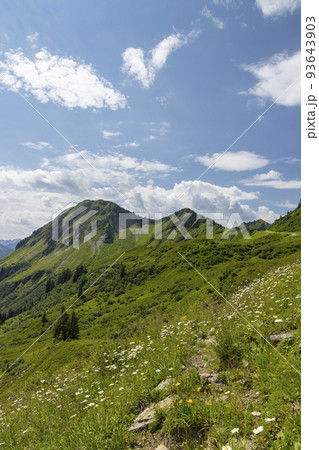Typical alpine landscape in early summer near Damuls, Vorarlberg, Austria 93643903