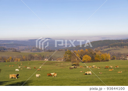 Typical Sumava autumn landscape, Southern Bohemia, Czech Republic 93644100