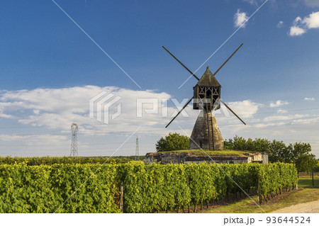 Windmill of La Tranchee and vineyard near Montsoreau, Pays de la Loire, France 93644524