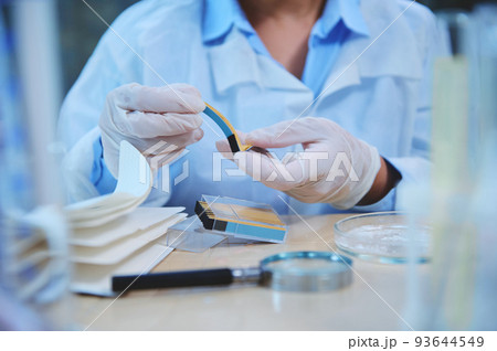Cropped view of a scientist in lab coat and protective medical gloves, holding PH indicator strip, litmus or reagent paper for measuring alkalinity and acidity. Loupe, labware on table in laboratory 93644549