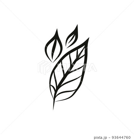 Leaf logo design, vector natural concept inspiration, leaf icon. Leaves 93644760