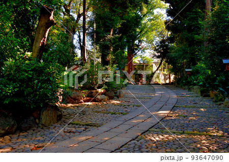代々木八幡宮境内初秋の風景 代々木八幡宮境内初秋の風景 93647090