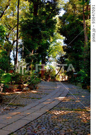 代々木八幡宮境内初秋の風景 代々木八幡宮境内初秋の風景 93647091
