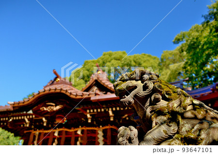代々木八幡宮境内初秋の風景 代々木八幡宮境内初秋の風景 93647101