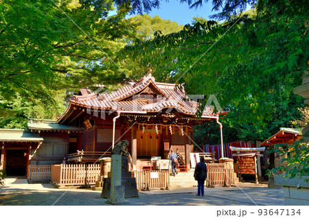 代々木八幡宮境内初秋の風景 代々木八幡宮境内初秋の風景 93647134