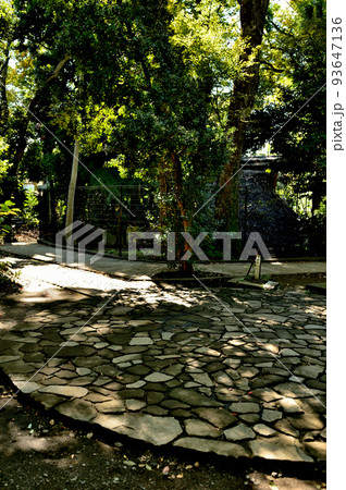 代々木八幡宮境内初秋の風景 代々木八幡宮境内初秋の風景 93647136