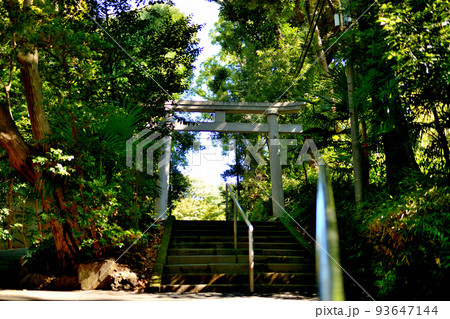 代々木八幡宮境内初秋の風景 93647144