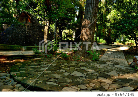 代々木八幡宮境内初秋の風景 代々木八幡宮境内初秋の風景 93647149