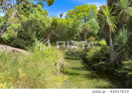 【クライストチャーチ】ハグレーパーク 川 【クライストチャーチ】ハグレーパーク 川 93647819