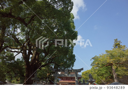 鳥居と楼門_大宰府天満宮 93648289