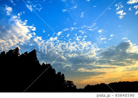 夏の日の出直後の青空とオレンジ色の雲(8月、北東、24mm) 夏の日の出直後の青空とオレンジ色の雲(8月、北東、24mm) 93648590