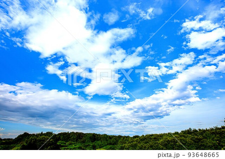 夏の夕方の青空と雲(8月、東、19mm) 夏の夕方の青空と雲(8月、東、19mm) 93648665