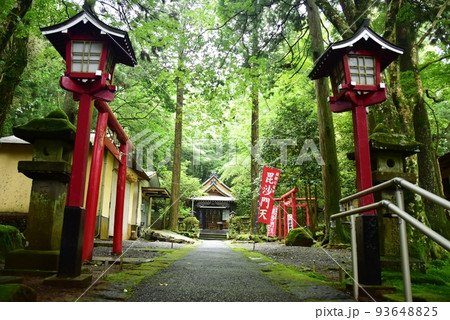 箱根町 駒形神社参道と社殿と新緑 箱根町 駒形神社参道と社殿と新緑 93648825