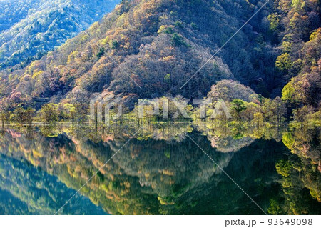 静寂な湖面に映る秋元湖の新緑(福島県裏磐梯、5月上旬) 93649098