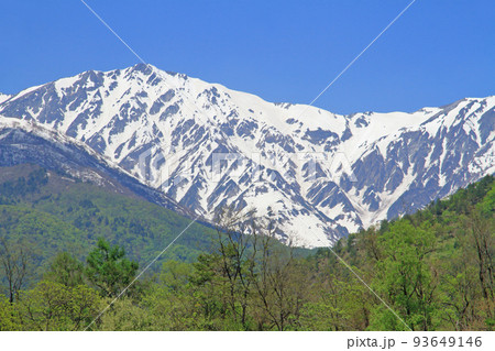 白馬岳　代かき馬の雪形 93649146