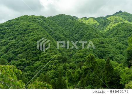 緑が生い茂る山々 緑が生い茂る山々 93649175