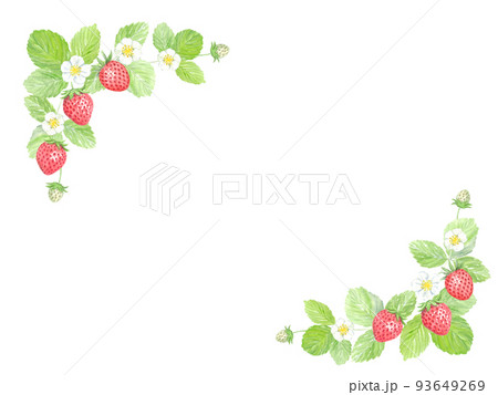 透明水彩で描いたイチゴのフレーム　ベクター 93649269
