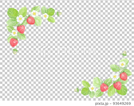 Strawberry frame vector drawn with transparent watercolor 93649269