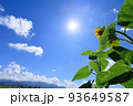 青空とひまわりの花　太陽の日差し　夏イメージ 93649587