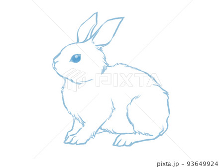 リアルな白ウサギのイラスト素材 線画 のイラスト素材