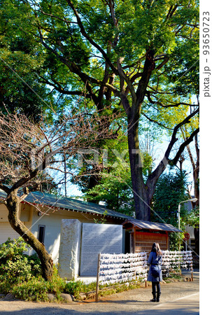 代々木八幡宮 冬の参拝者の風景 代々木八幡宮 冬の参拝者の風景 93650723