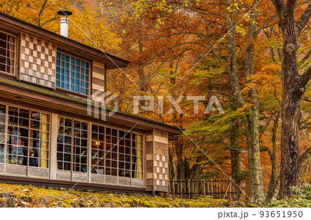 国内屈指の観光地　奥日光の秋　紅葉のイタリア大使館別荘記念公園 93651950