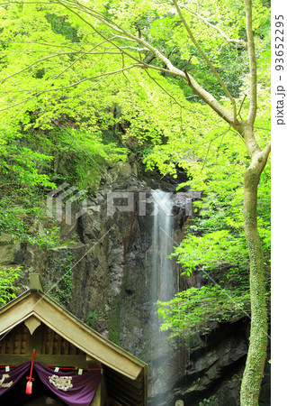 天理の桃尾の滝 93652295