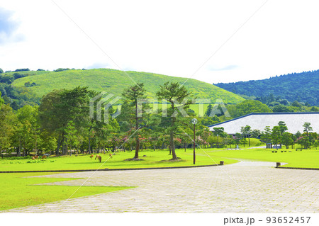 奈良公園の風景 93652457