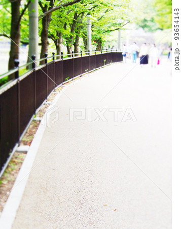 夏の公園　遊歩道を歩く 93654143