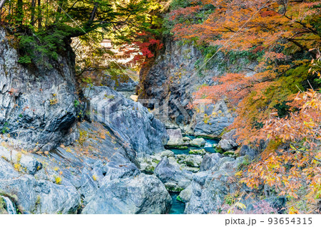 東京都奥多摩町　紅葉に染まる鳩ノ巣渓谷　～鳩ノ巣小橋からの眺め～ 93654315