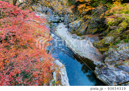東京都奥多摩町 紅葉に染まる鳩ノ巣渓谷 ~鳩ノ巣小橋からの眺め~ 東京都奥多摩町 紅葉に染まる鳩ノ巣渓谷 ~鳩ノ巣小橋からの眺め~ 93654319