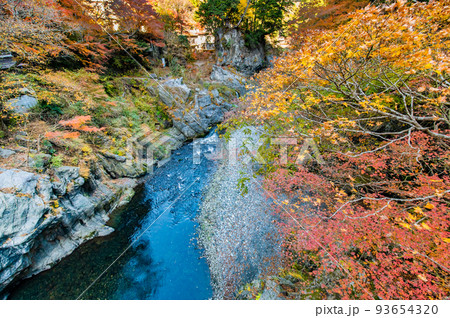 東京都奥多摩町　紅葉に染まる鳩ノ巣渓谷　～鳩ノ巣小橋からの眺め～ 93654320