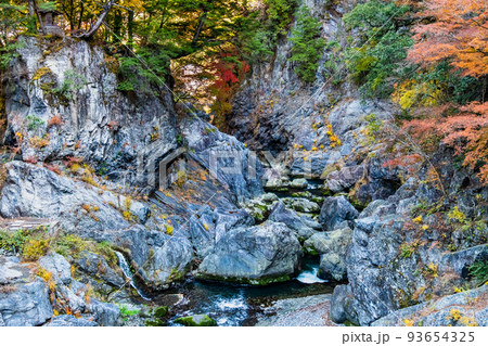 東京都奥多摩町 紅葉に染まる鳩ノ巣渓谷 ~鳩ノ巣小橋からの眺め~ 東京都奥多摩町 紅葉に染まる鳩ノ巣渓谷 ~鳩ノ巣小橋からの眺め~ 93654325