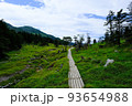 南アルプスの絶景トレイル。日本の雄大な自然。百名山、聖岳。 93654988