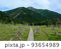 南アルプスの絶景トレイル。日本の雄大な自然。百名山、聖岳。 93654989