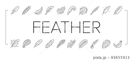 feather bird soft quil fluffy icons set vector 93655913