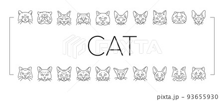 cat cute pet animal kitten funny icons set vector