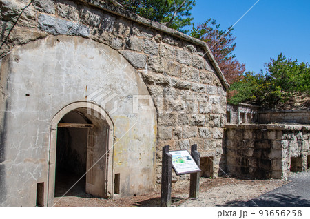 大久野島の北部砲台跡 広島県竹原市忠海町 大久野島の北部砲台跡 広島県竹原市忠海町 93656258